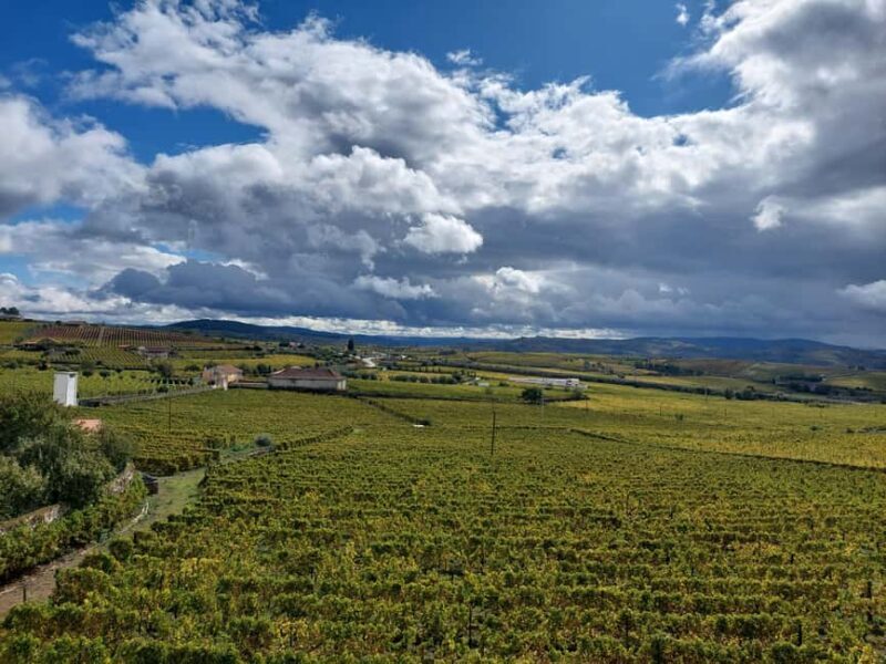 Porto: Douro Valley Tour by Private Car - Exploring the Douro Valley: An In-Depth Review