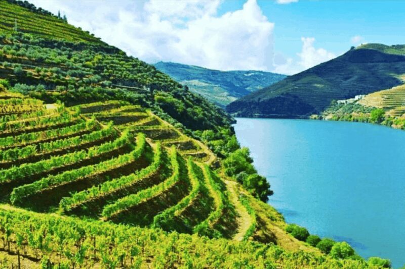 Porto: Douro Valley Tour w/ 3 Tastings, Lunch, & Opt. Cruise - Visiting a Family-Owned Winery and a Gourmet Lunch