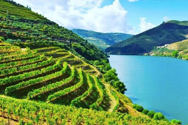 Porto: Douro Valley Tour w/ 3 Tastings, Lunch, & Opt. Cruise - Who Should Consider This Tour?