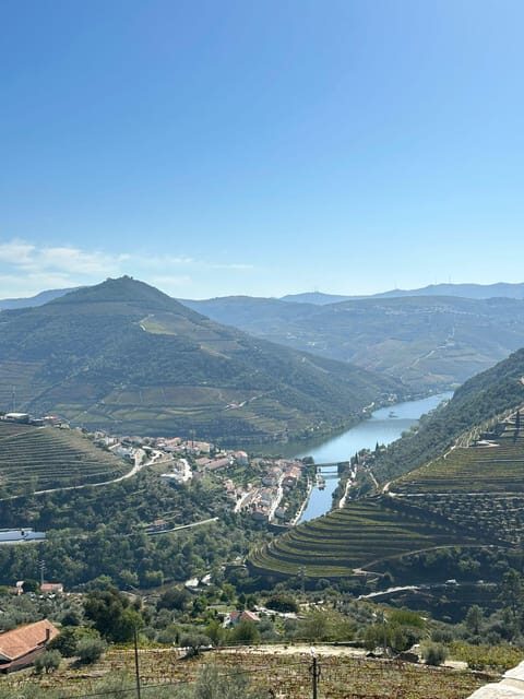 Porto: Douro Valley Tour w/ 3 Tastings, Lunch, & Opt. Cruise - Pricing and Value