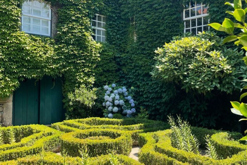 Porto: Douro Valley Tour w/ 3 Tastings, Lunch, & Opt. Cruise - Final Thoughts