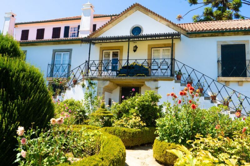 Porto: Douro Valley Tour with Lunch, Boat Cruise & Tastings - Traditional Portuguese Lunch: A Feast with Flavors