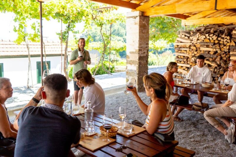 Porto: Douro Valley Tour with Lunch, Boat Cruise & Tastings - Pinhão: The Waterway Adventure