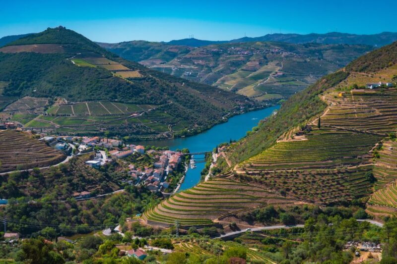 Porto: Douro Valley Tour with Lunch, Boat Cruise & Tastings - Return Journey: Wind Down and Reflect