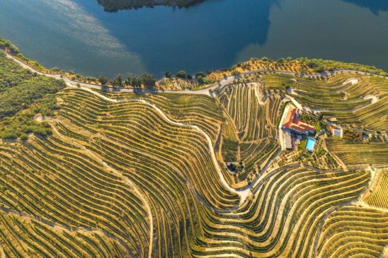 Porto: Douro Valley Tour with Lunch, Boat Cruise & Tastings - The Real Value of This Experience