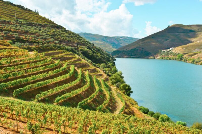 Porto: Douro Valley Tour with Wine Tasting, Cruise and Lunch - FAQ