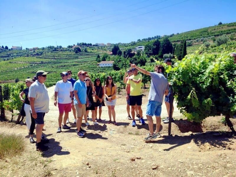 Porto: Douro Valley Vineyards Tour with Lunch & River Cruise - What to Expect from the Tour
