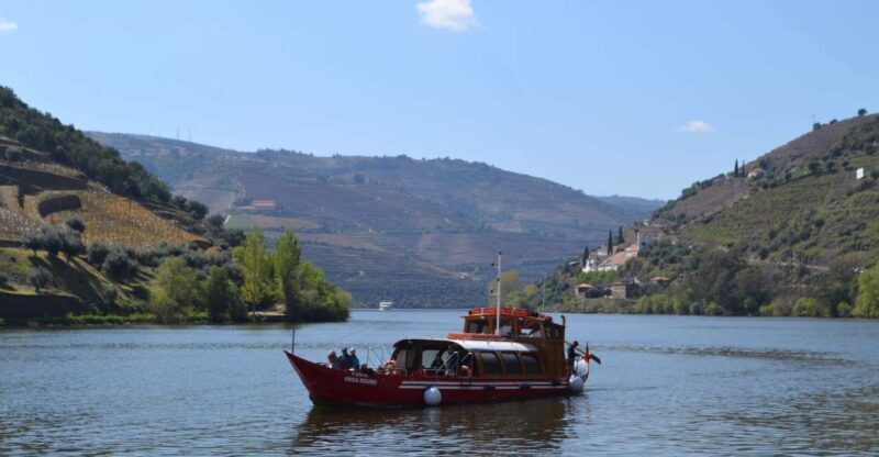 Porto: Douro Valley Vineyards Tour with Lunch & River Cruise - Who Will Love This Tour?