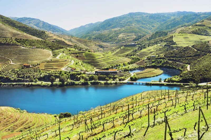 Porto: Douro Valley Wine & History Tour with Cruise & Lunch - Visiting a Renowned Wine Estate