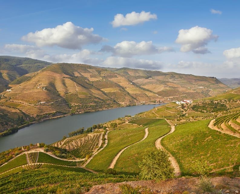 Porto: Douro Valley Wine & History Tour with Cruise & Lunch - What Makes This Tour Stand Out?