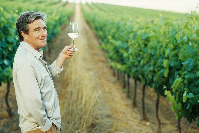 Porto: Douro Valley Wine Tour Including Lunch - Introduction to the Douro Valley Wine Tour