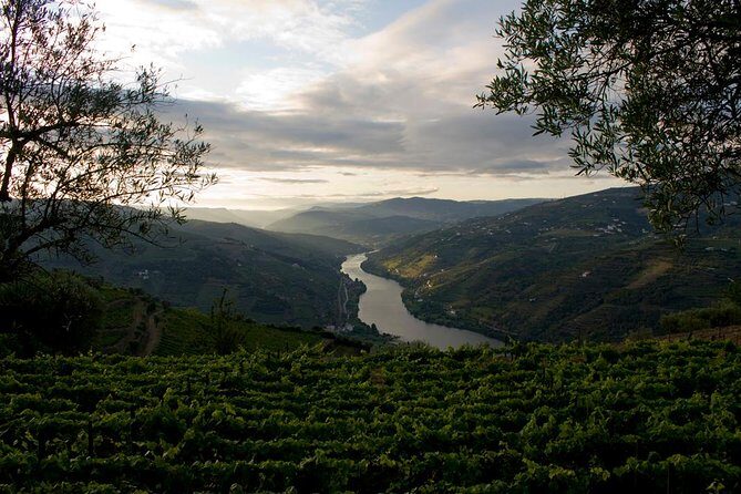 Porto: Douro Valley Wine Tour Including Lunch - Areas for Improvement