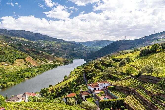 Porto: Douro Valley Wine Tour Including Lunch - FAQ