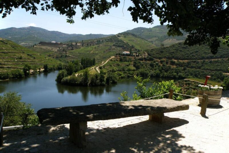 Porto: Douro Valley Wine Tour - A Deep Dive into the Douro Valley Wine Tour