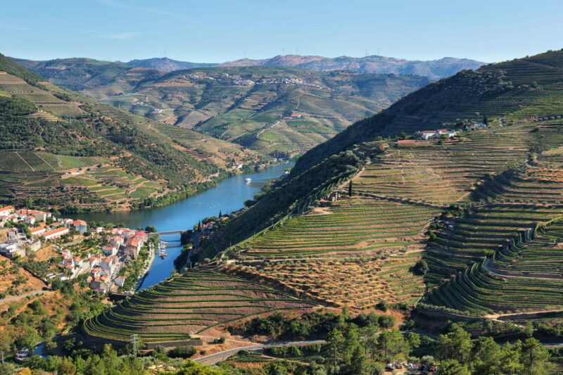 Porto: Douro Valley Wine Tour with a Sommelier & Boat Trip - Who Would Love This Tour?
