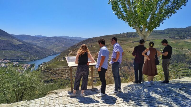 Porto: Douro Valley Wine Tour with Tastings, Boat, and Lunch - A Deep Dive into the Douro Experience