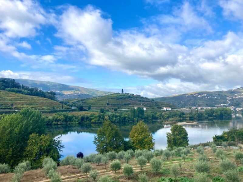 Porto: Douro Valley Wine Tour with Tastings, Boat, and Lunch - Price and Value for Money