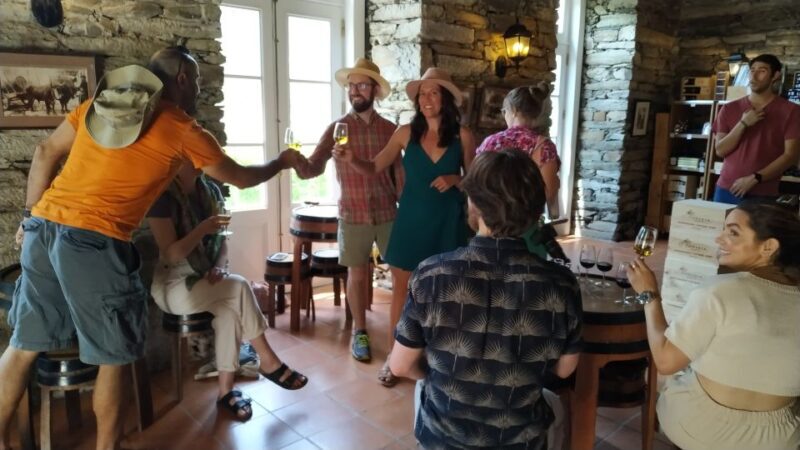 Porto: Douro Valley Wine Tour with Tastings, Boat, and Lunch - Final Thoughts