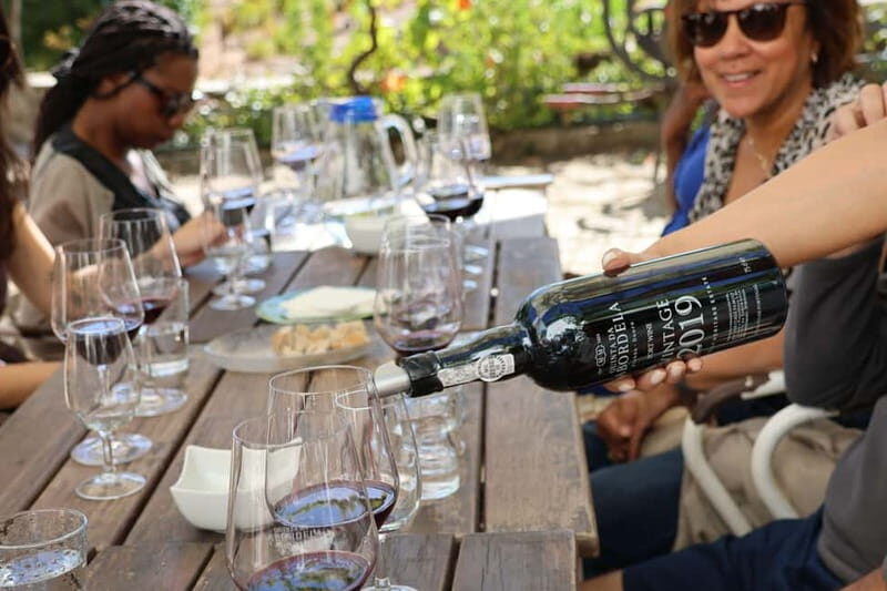 Porto: Douro Valley with 1 or 2 Wineries, Lunch & Boat Tour - Exploring the Douro Valley in Detail