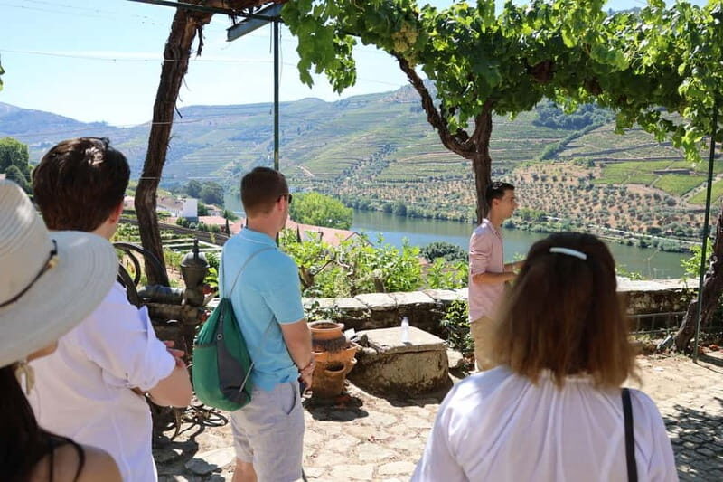 Porto: Douro Valley with 1 or 2 Wineries, Lunch & Boat Tour - Who Should Consider This Tour?