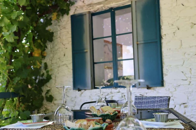 Porto: Douro Valley with 1 or 2 Wineries, Lunch & Boat Tour - FAQ