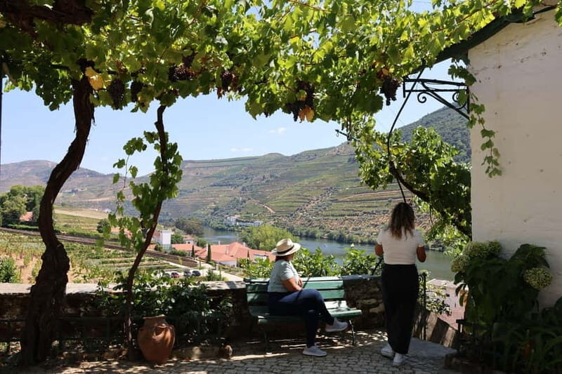 Porto: Douro Valley with 1 or 2 Wineries, Lunch & Boat Tour - Final Thoughts