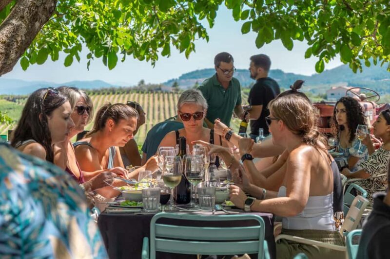 Porto: Douro Valley with Winery Lunch, Tastings & Cruise - FAQ