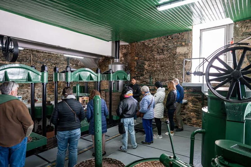 Porto: Douro Wine Tour with Lunch and River Cruise - FAQ