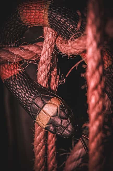 Porto Escape Room: Catacomb Jones - The Sum Up