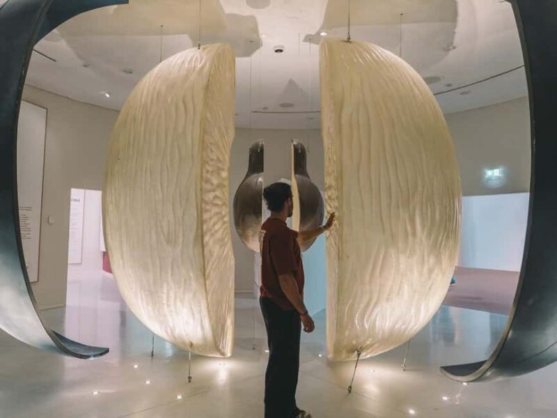 Porto: Fonseca Cellar Tour & 1 WOW Museum - Who Will Love This Tour?