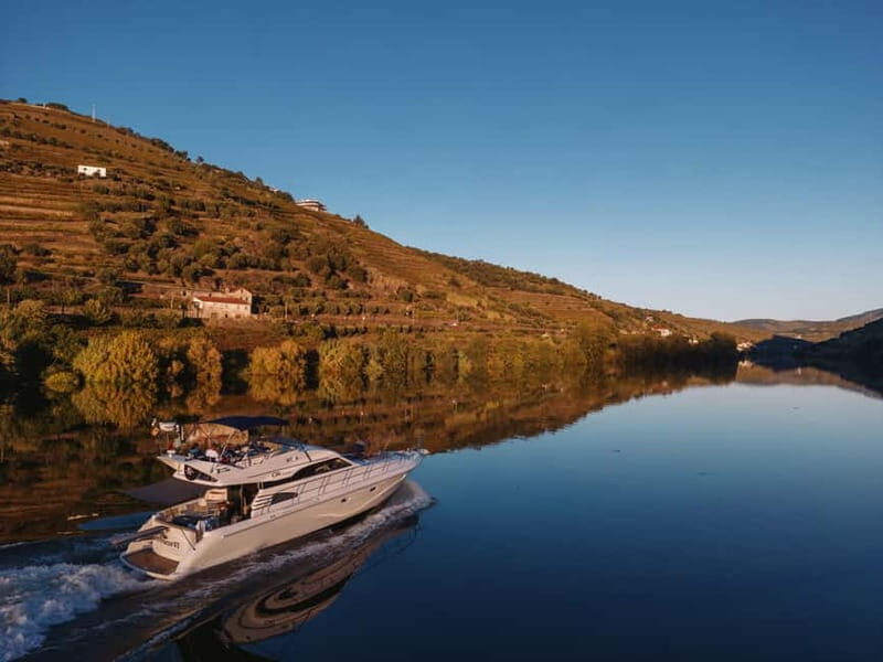 Porto: Full Day Douro River Cruise from Porto to Régua - Discovering the Douro: An In-Depth Look at the Tour