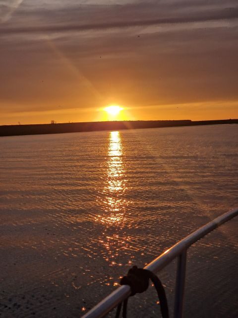 Porto: Guide Boat tour with tasting of 4 Port wines - Who Will Love This Experience?
