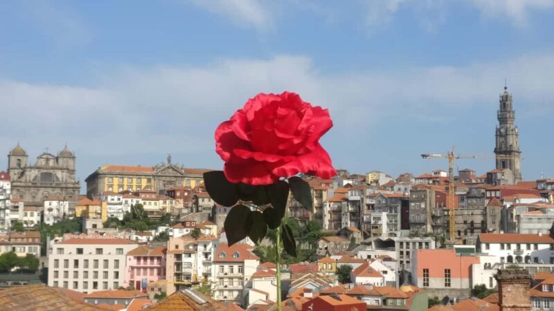 Porto: Guided Walking Tour with Clérigos Church - Who Will Love This Tour?