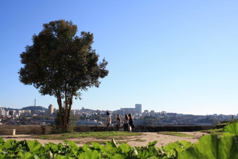 Porto: Half-Day Jewish Tour - The Experience in Detail