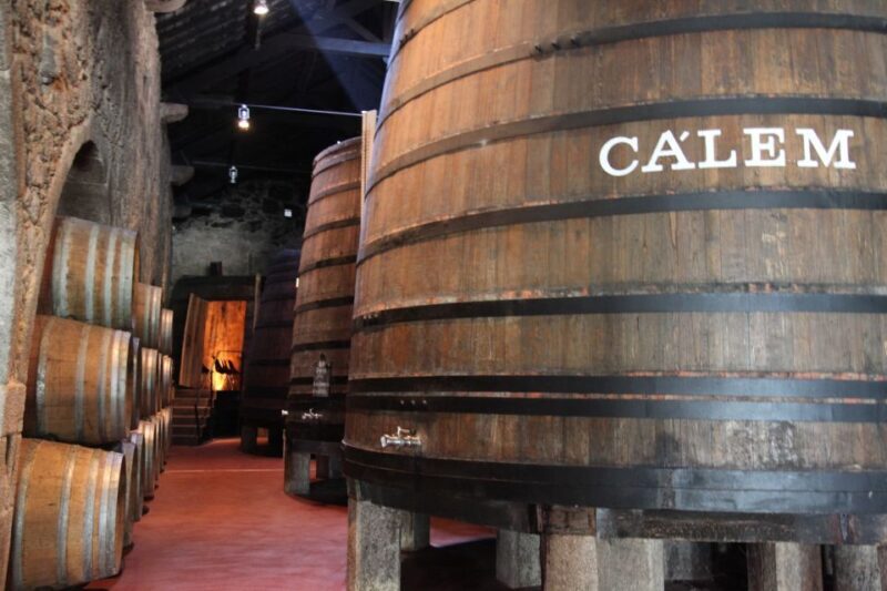 Porto: Hop-on Hop-off Bus with Optional Cruise & Wine Cellar - Pricing and Overall Value