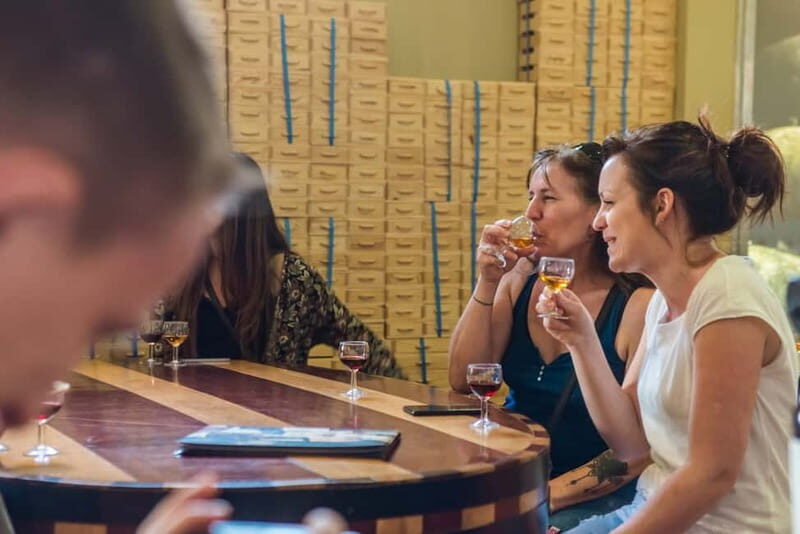 Porto: Magic Train Tour and Port Wine Cellar with Tastings - Optional Lunch: Portuguese Flavors