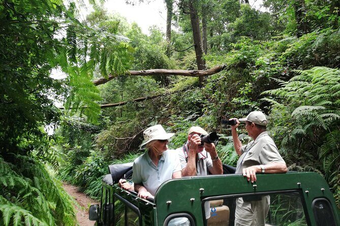 Porto Moniz - Private Full-Day - Safari 4x4 Tour - NorthWest - Authentic Experiences & Unique Advantages