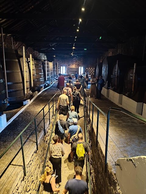 Porto: Port and Douro Wine Walking Tour with Tastings - The Practicalities