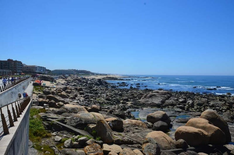 Porto: Porto Bike or E-Bike Atlantic Route - The Value and Who Should Consider This Tour