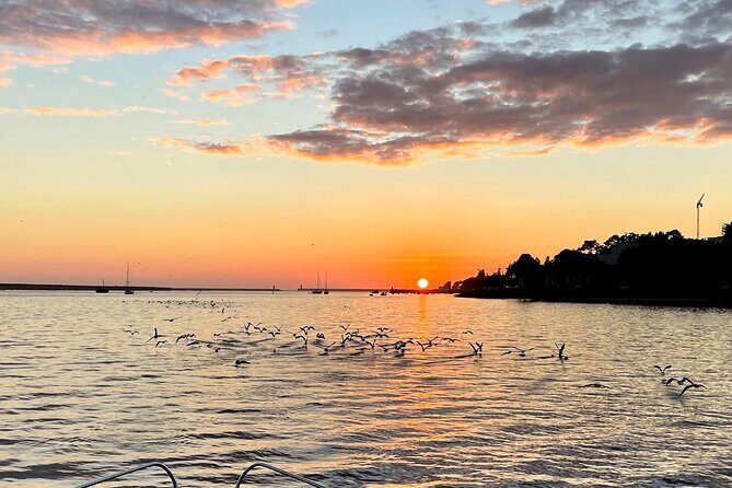 Porto: Porto City views Tour with Sunset Option,(shared) - The Itinerary in Detail: What to Expect