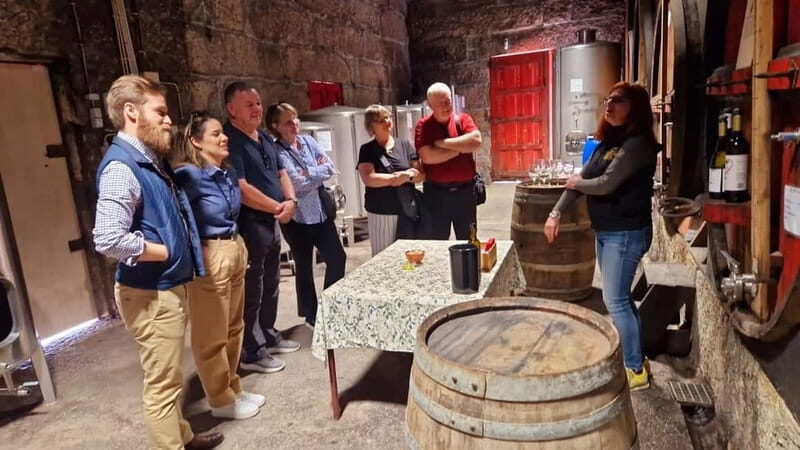 Porto: Premium Douro Valley Small-Group Tour, Cruise & Lunch - An In-Depth Look at the Tour Experience