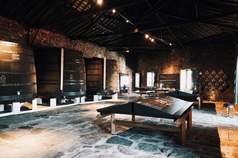 Porto: premium tasting wine tour at Fonseca cellars - The Experience in Detail