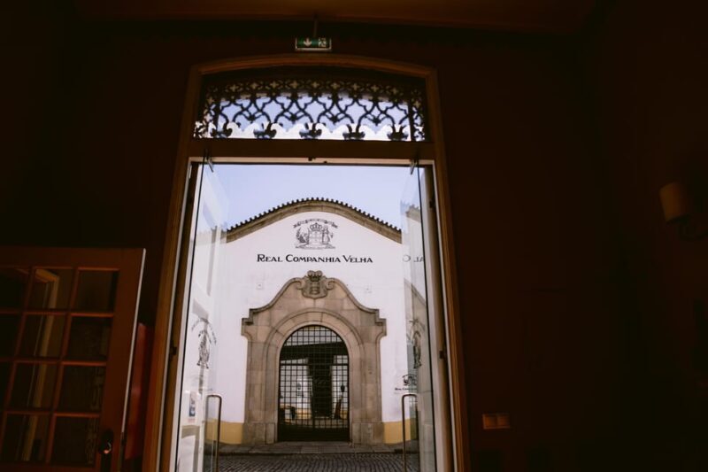Porto: Premium Tour at Real Companhia Velha - The Sum Up