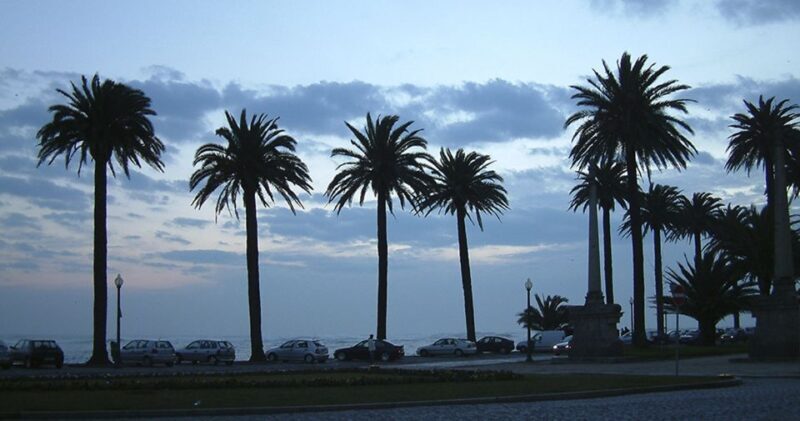 Porto: Private Bike Tour with a Local Guide - The Experience: Riding the Route