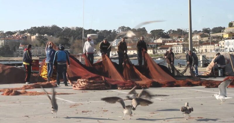 Porto: Private Bike Tour with a Local Guide - Price and Value: Is It Worth It?