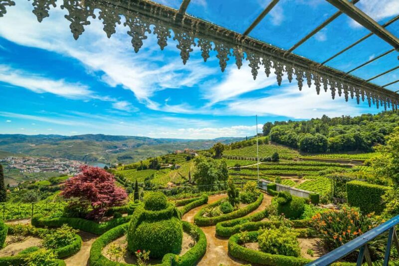 Porto: Private Cultural Lunch & Wine Tasting at Douro Valley - Key Points