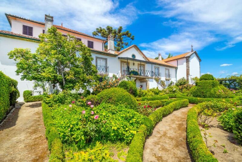 Porto: Private Cultural Lunch & Wine Tasting at Douro Valley - The Sum Up