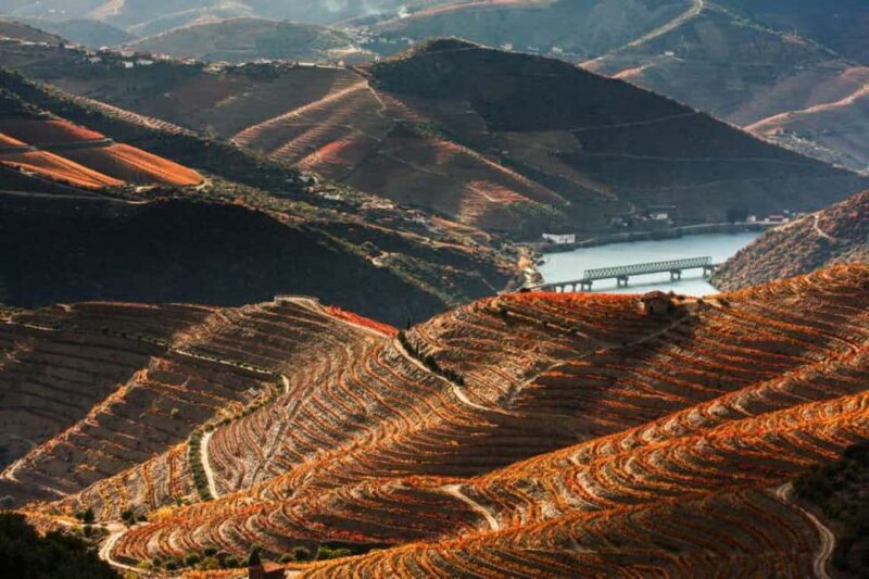 Porto: Private Douro Valley tour with lunch, wine tasting, and a cruise - 2 wineries - An In-Depth Look at the Tour Experience