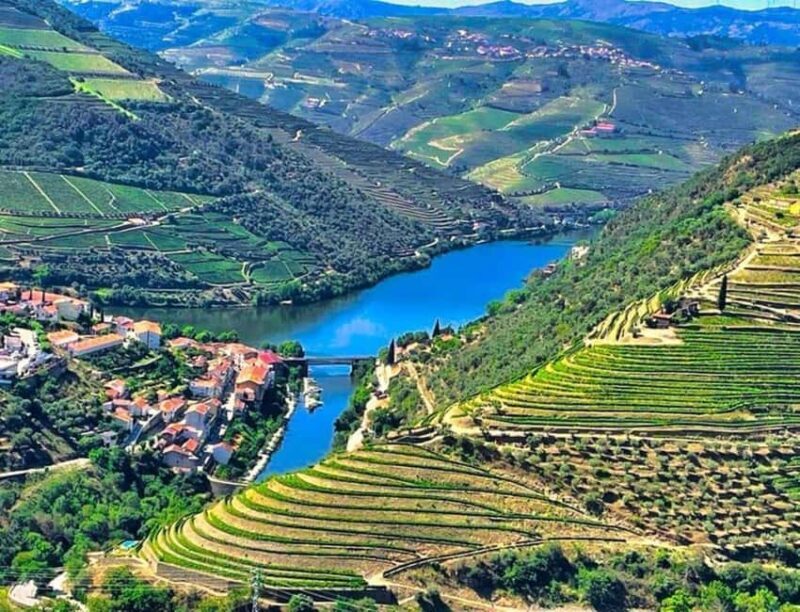 Porto: Private Douro Valley tour with lunch, wine tasting, and a cruise - 2 wineries - Who Should Consider This Tour?