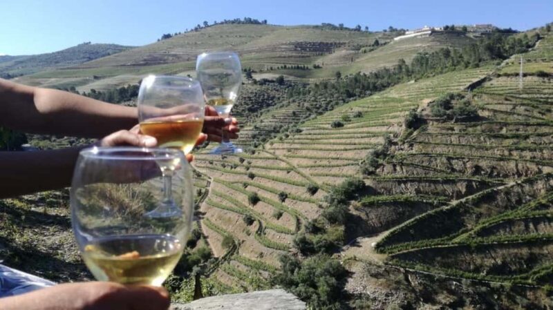 Porto: Private Douro Valley tour with lunch, wine tasting, and a cruise - 2 wineries - Final Thoughts